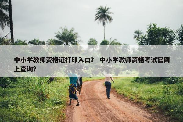 中小学教师资格证打印入口？ 中小学教师资格考试官网上查询？
