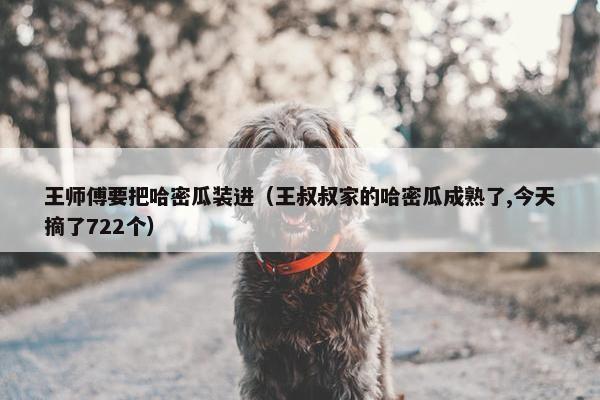 王师傅要把哈密瓜装进（王叔叔家的哈密瓜成熟了,今天摘了722个）