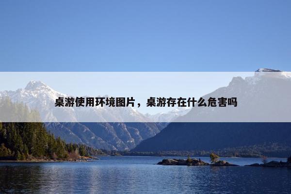 桌游使用环境图片，桌游存在什么危害吗