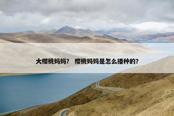 大樱桃妈妈？ 樱桃妈妈是怎么播种的？