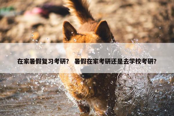 在家暑假复习考研? 暑假在家考研还是去学校考研? 在家暑假复习考研? 暑假在家考研还是去学校考研?