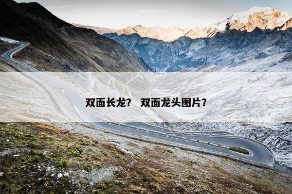 双面长龙？ 双面龙头图片？
