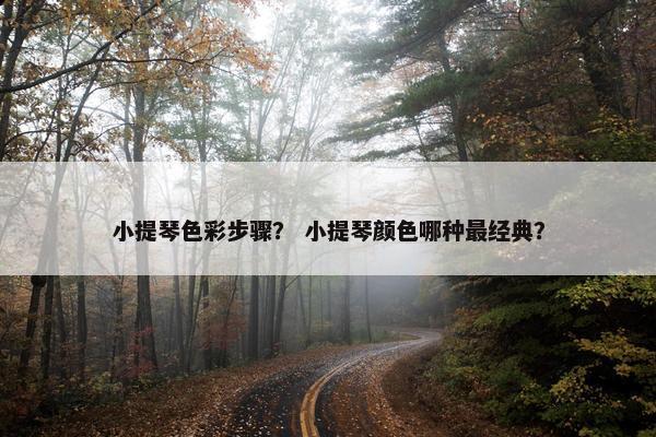 小提琴色彩步骤？ 小提琴颜色哪种最经典？