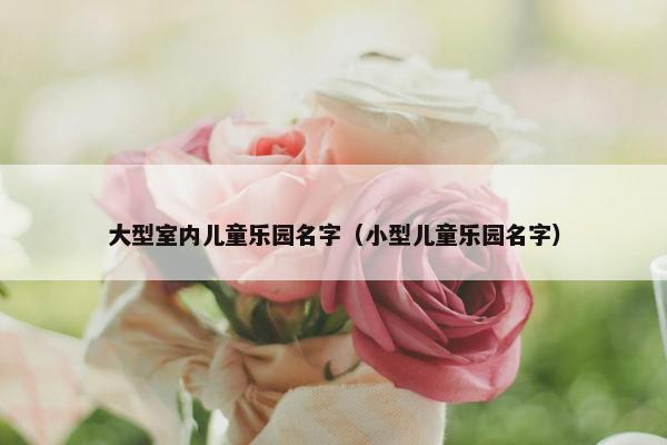 大型室内儿童乐园名字(小型儿童乐园名字) 大型室内儿童乐园名字(小型儿童乐园名字)