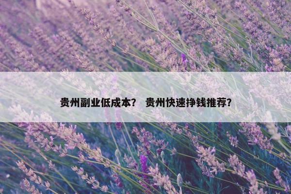 贵州副业低成本？ 贵州快速挣钱推荐？