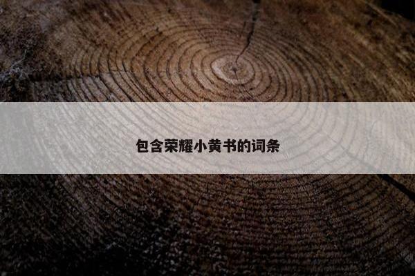 包含荣耀小黄书的词条