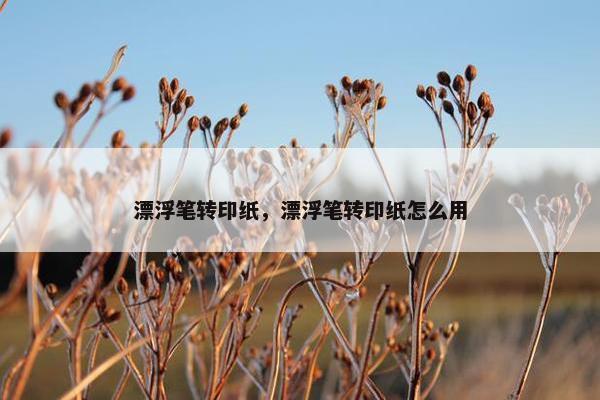 漂浮笔转印纸，漂浮笔转印纸怎么用