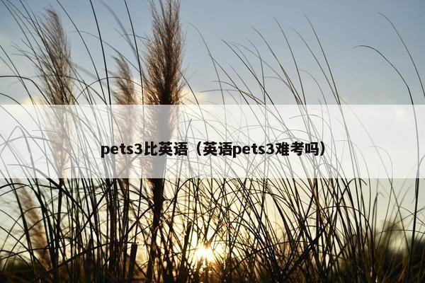 pets3比英语(英语pets3难考吗) pets3比英语(英语pets3难考吗)