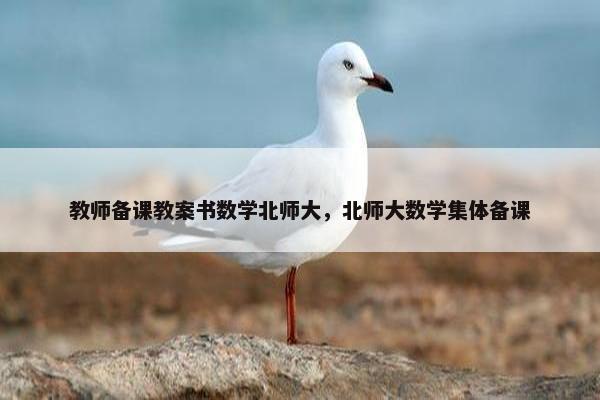 教师备课教案书数学北师大，北师大数学集体备课
