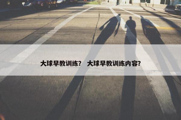 大球早教训练? 大球早教训练内容? 大球早教训练? 大球早教训练内容?