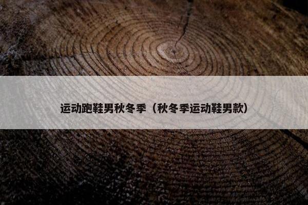 运动跑鞋男秋冬季（秋冬季运动鞋男款）