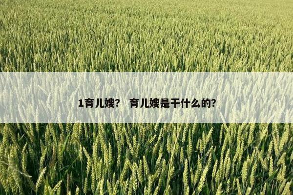 1育儿嫂？ 育儿嫂是干什么的？