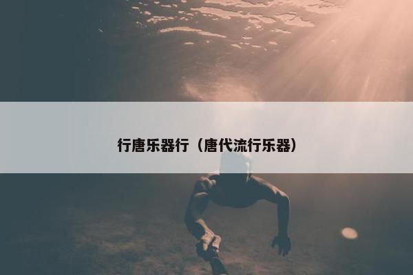 行唐乐器行（唐代流行乐器）