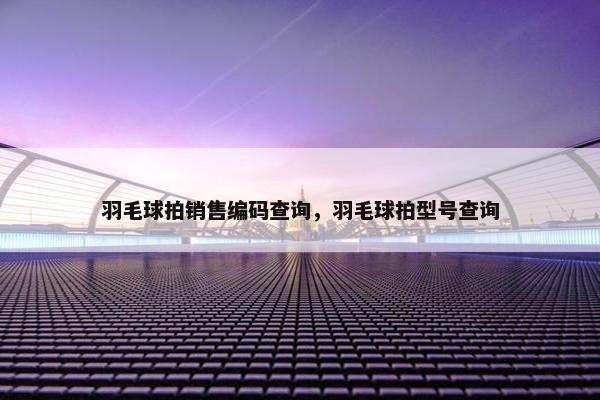 羽毛球拍销售编码查询，羽毛球拍型号查询