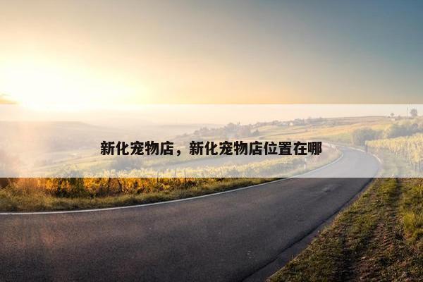 新化宠物店，新化宠物店位置在哪