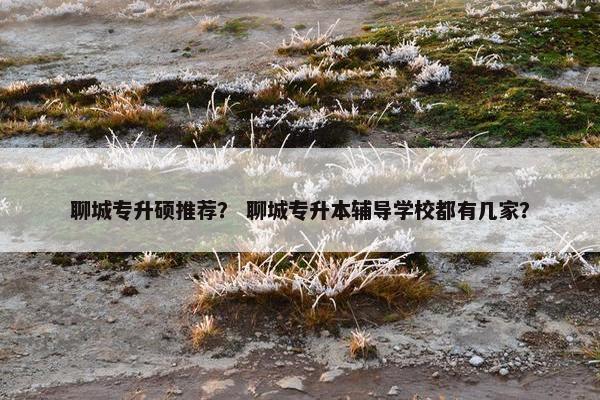 聊城专升硕推荐？ 聊城专升本辅导学校都有几家？