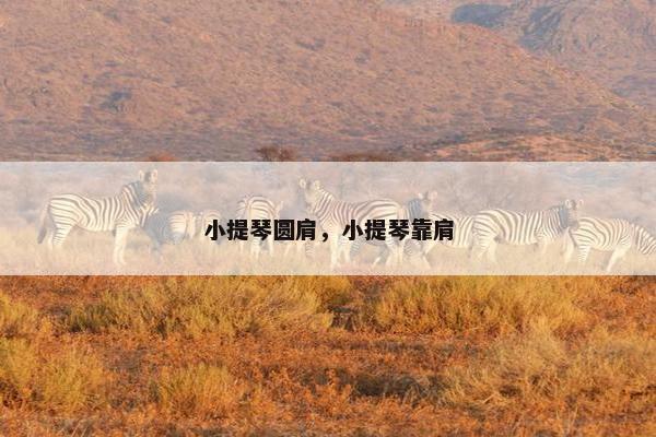 小提琴圆肩，小提琴靠肩