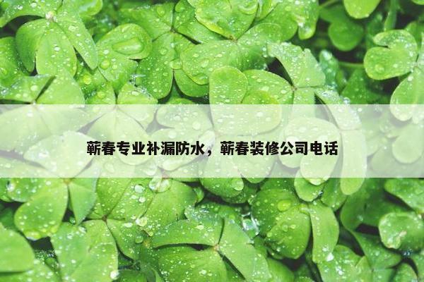 蕲春专业补漏防水，蕲春装修公司电话