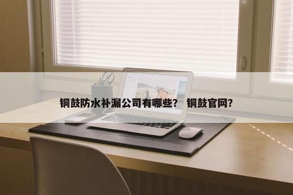 铜鼓防水补漏公司有哪些？ 铜鼓官网？