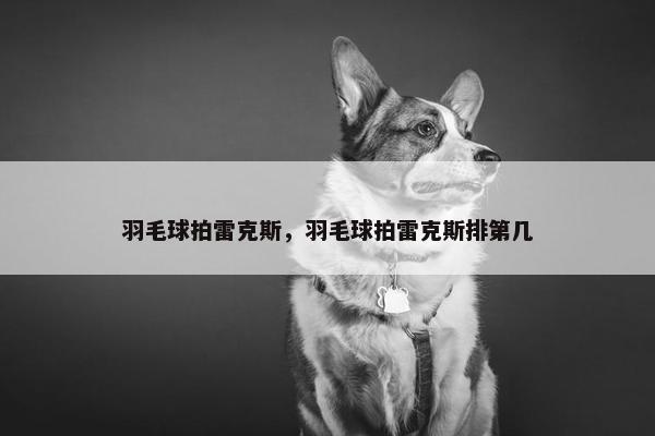 羽毛球拍雷克斯，羽毛球拍雷克斯排第几