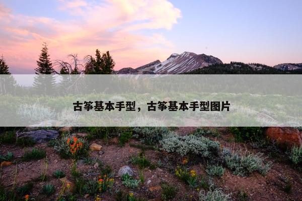 古筝基本手型，古筝基本手型图片
