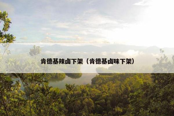 肯德基辣卤下架（肯德基卤味下架）