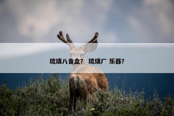 琉璃八音盒？ 琉璃厂 乐器？