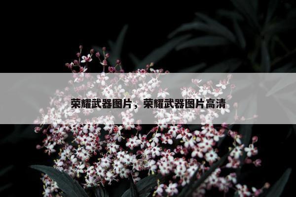 荣耀武器图片，荣耀武器图片高清