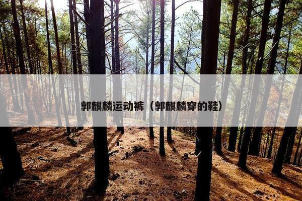 郭麒麟运动裤（郭麒麟穿的鞋）