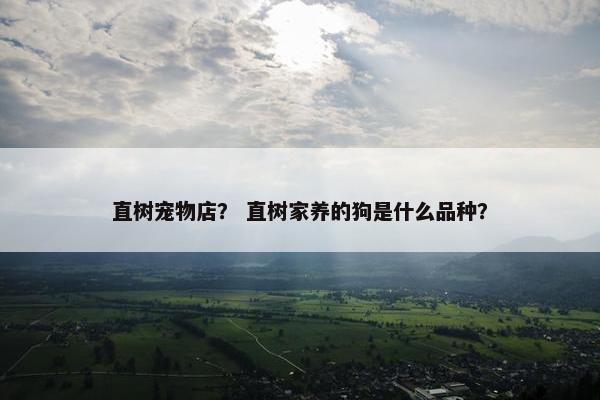 直树宠物店？ 直树家养的狗是什么品种？