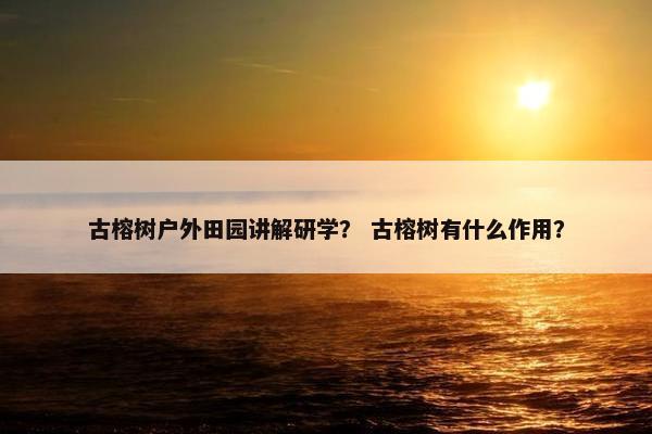 古榕树户外田园讲解研学? 古榕树有什么作用? 古榕树户外田园讲解研学? 古榕树有什么作用?