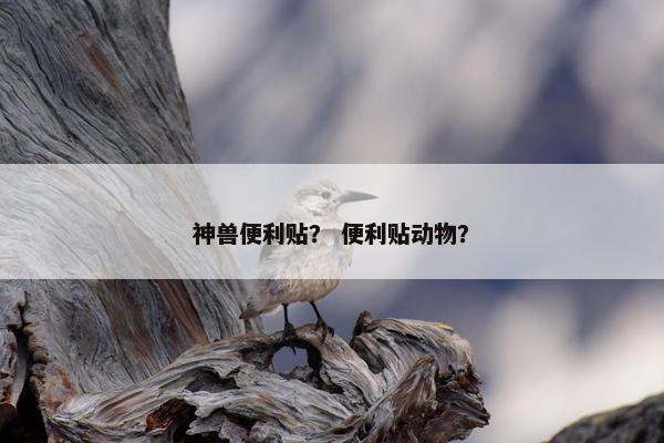 神兽便利贴？ 便利贴动物？