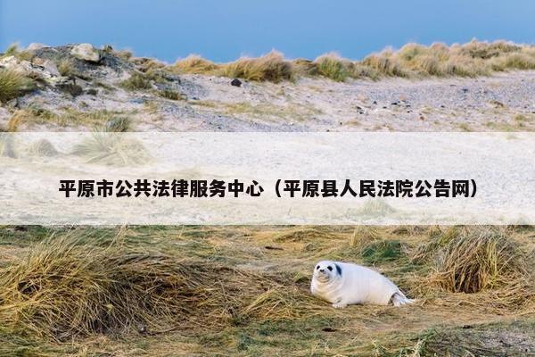 平原市公共法律服务中心（平原县人民法院公告网）