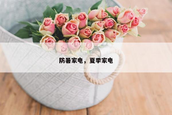 防暑家电，夏季家电