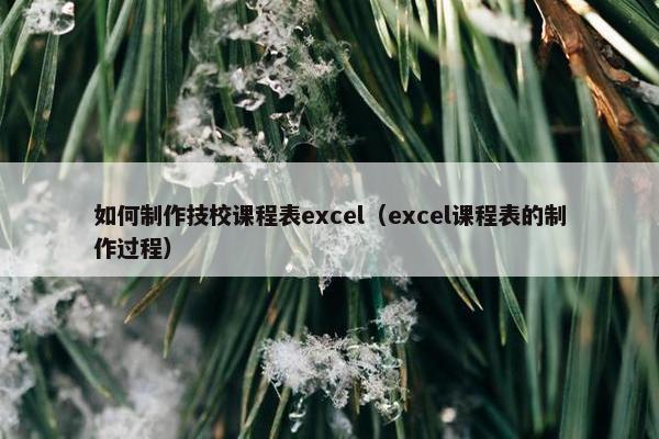 如何制作技校课程表excel（excel课程表的制作过程）