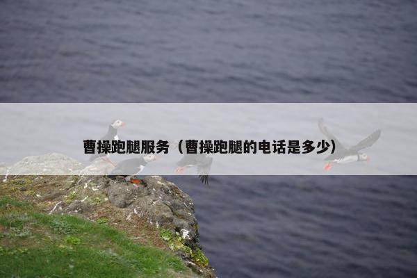 曹操跑腿服务（曹操跑腿的电话是多少）