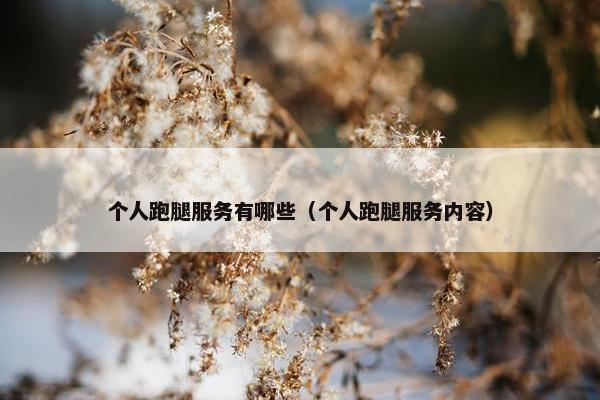 个人跑腿服务有哪些（个人跑腿服务内容）