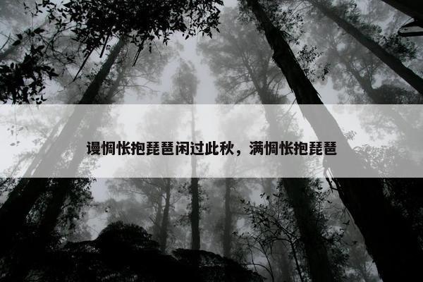 谩惆怅抱琵琶闲过此秋，满惆怅抱琵琶