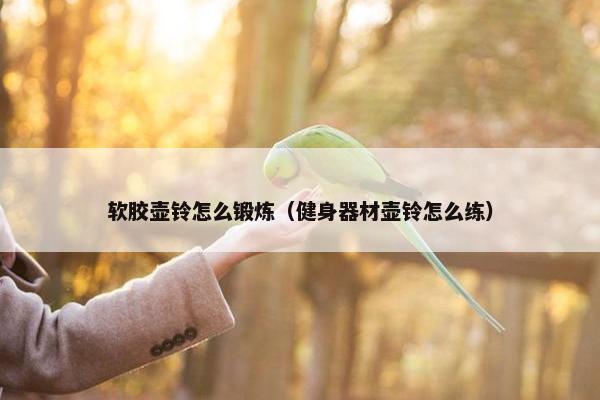 软胶壶铃怎么锻炼（健身器材壶铃怎么练）