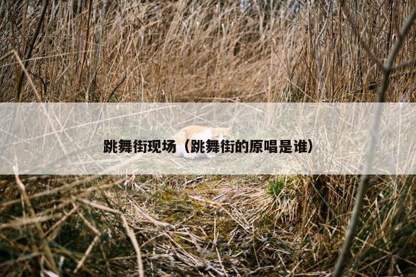 跳舞街现场（跳舞街的原唱是谁）