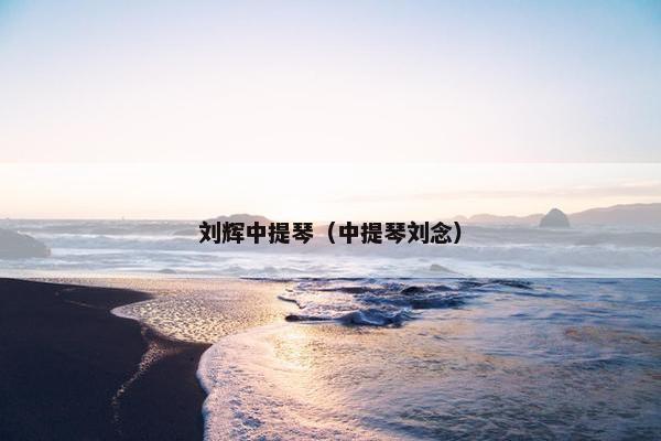 刘辉中提琴（中提琴刘念）