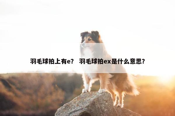 羽毛球拍上有e？ 羽毛球拍ex是什么意思？