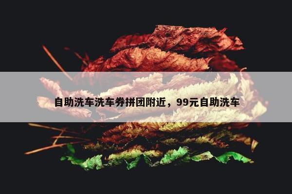 自助洗车洗车券拼团附近，99元自助洗车