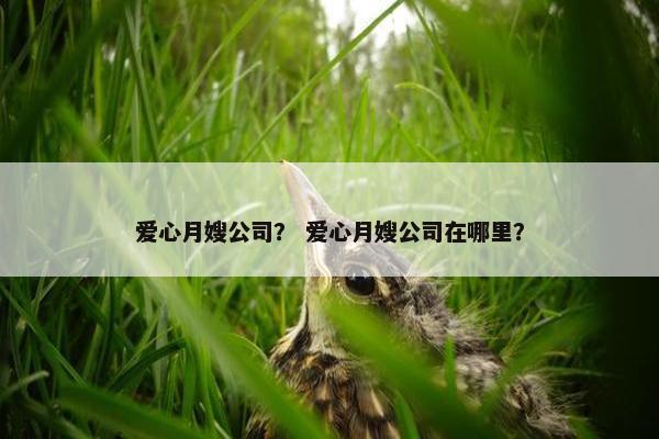 爱心月嫂公司？ 爱心月嫂公司在哪里？