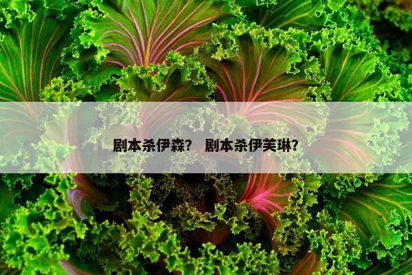 剧本杀伊森？ 剧本杀伊芙琳？