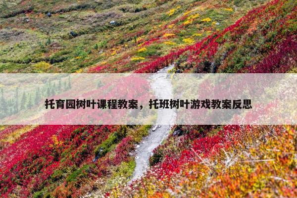 托育园树叶课程教案，托班树叶游戏教案反思