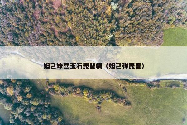 妲己妹喜玉石琵琶精（妲己弹琵琶）