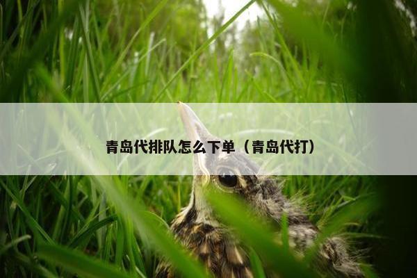 青岛代排队怎么下单（青岛代打）