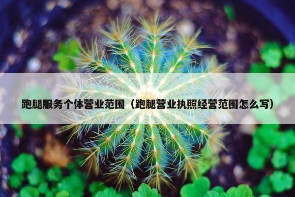 跑腿服务个体营业范围（跑腿营业执照经营范围怎么写）