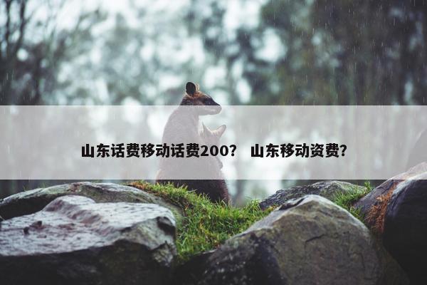 山东话费移动话费200？ 山东移动资费？